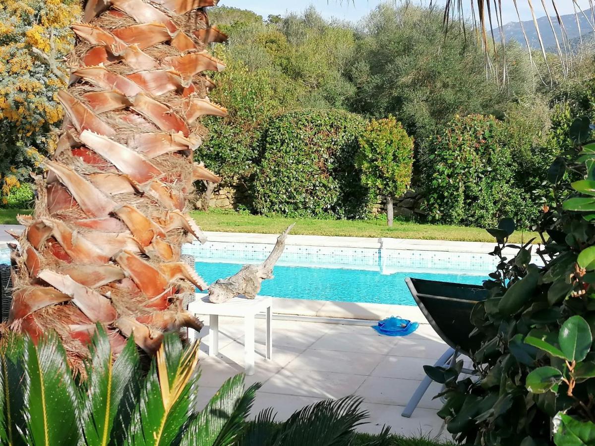 Apartment 5min Agosta Albitreccia